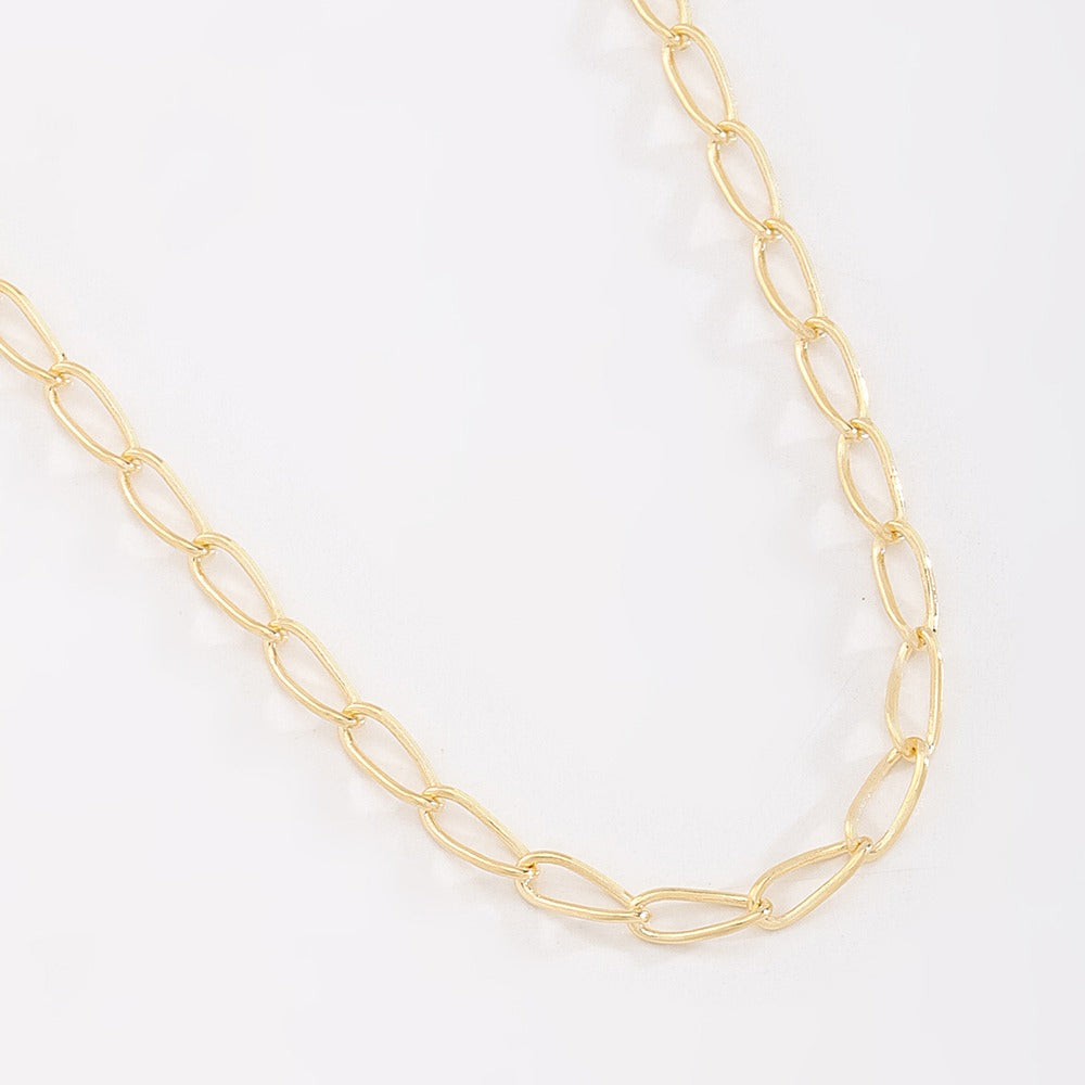 Joanna-Long Link Chain Necklace